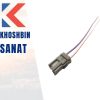 سوکت 2 فیش نری پژویی